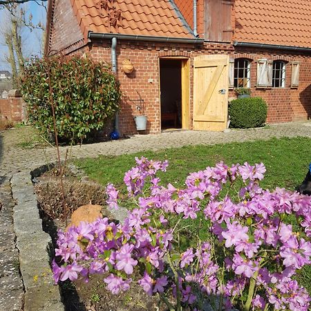Ferienhaus Voern-Diek Hohnstorf Exteriér fotografie
