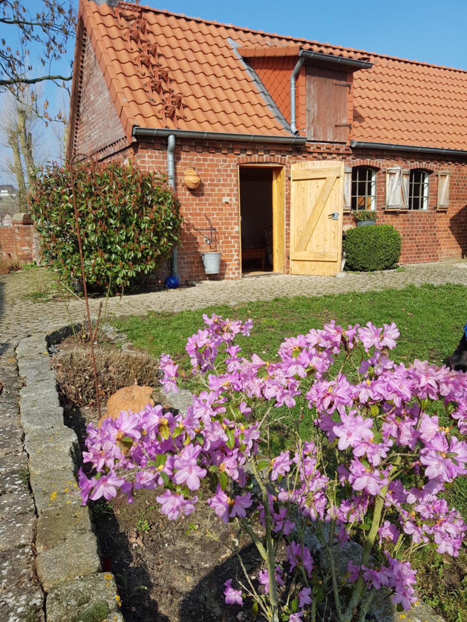 Ferienhaus Voern-Diek Hohnstorf Exteriér fotografie